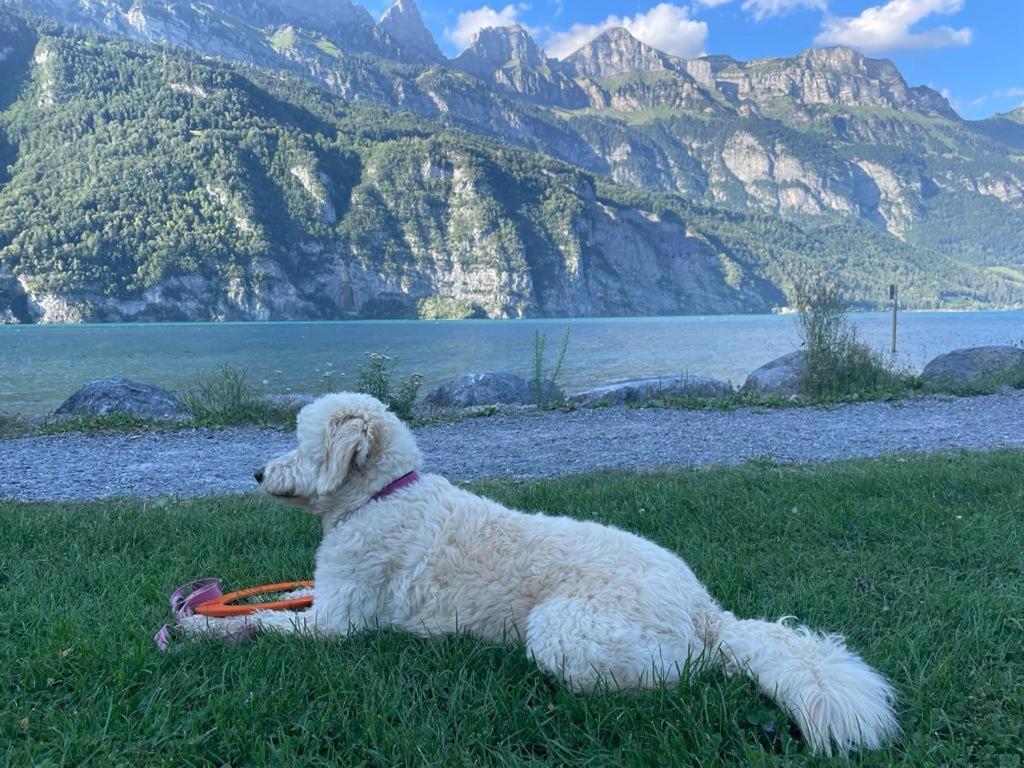 Doodle'S Amazing Chalet -Walensee - Flumserberg - Churfirsten - Heidiland - Pool - Sauna Mols Exterior photo